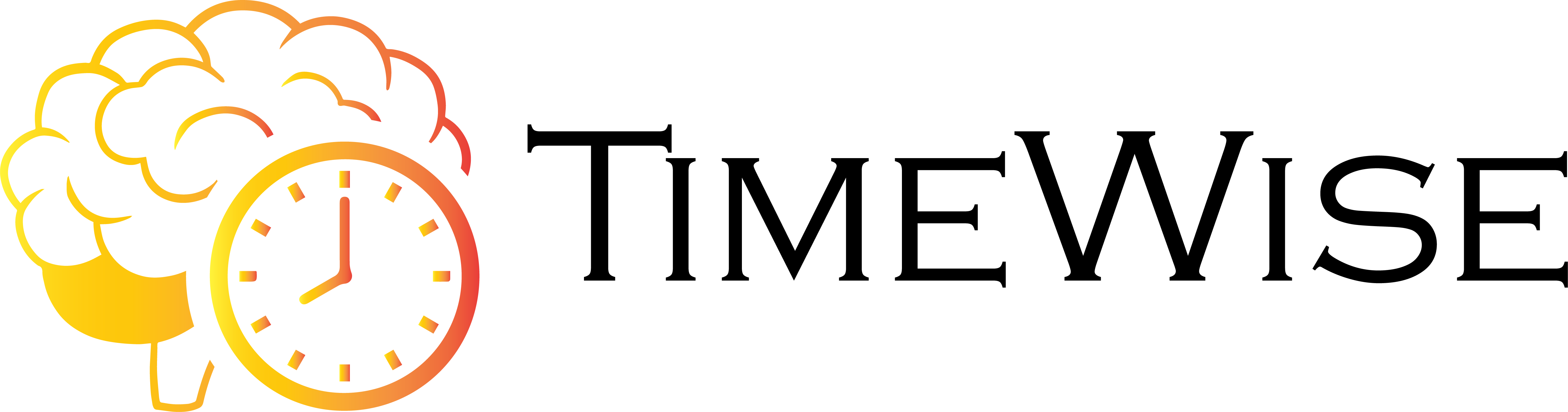 TimeWise Logo